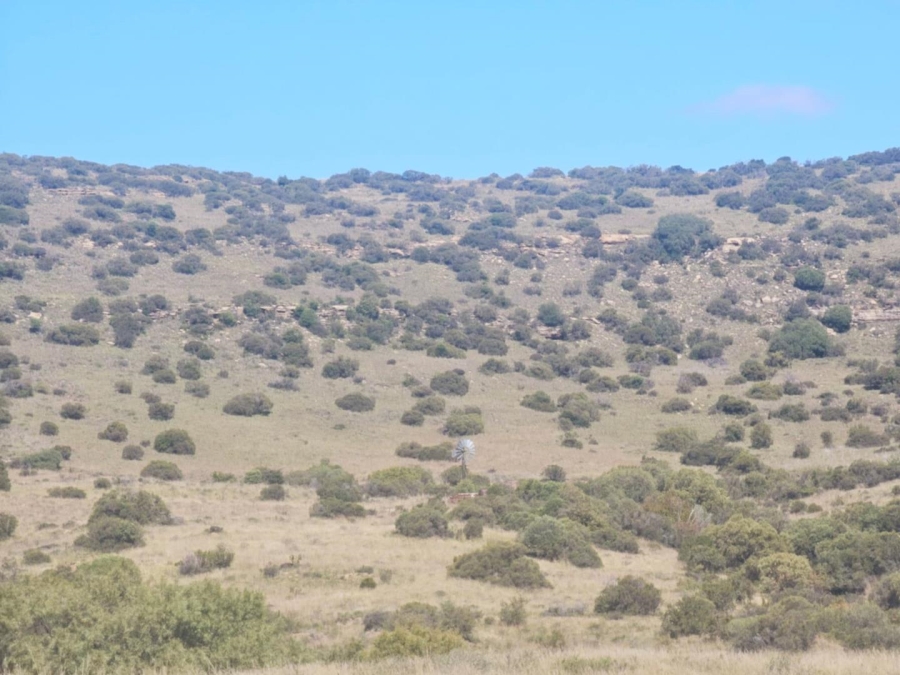 4 Bedroom Property for Sale in Dewetsdorp Free State